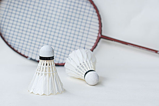 能提供了机 能提供了机