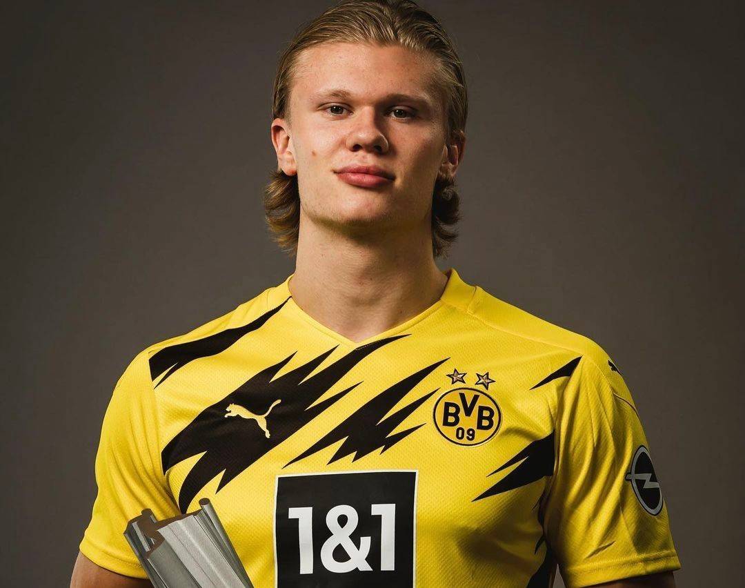 价值主张构 价值主张构